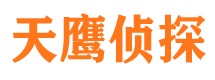 宾阳侦探公司